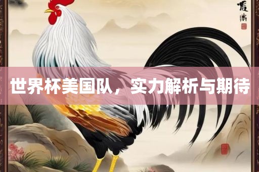 世界杯美国队，实力解析与期待吉安市靖泰电力工程有限公司