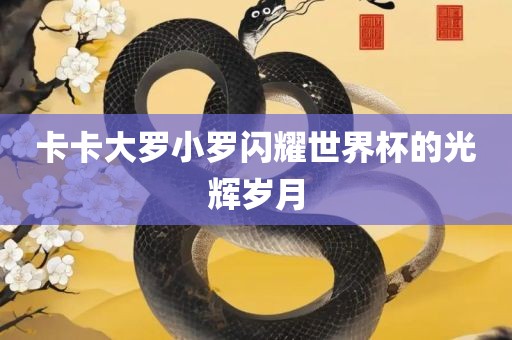 卡卡大罗小罗闪耀世界杯的光辉岁月