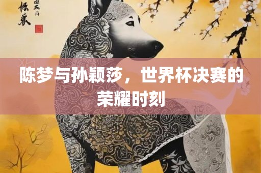 陈梦与孙颖莎，世界杯决赛的荣耀时刻