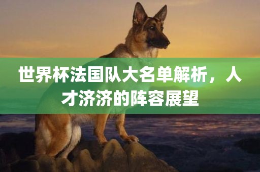 世界杯法国队大名单解析，人才济济的阵容展望