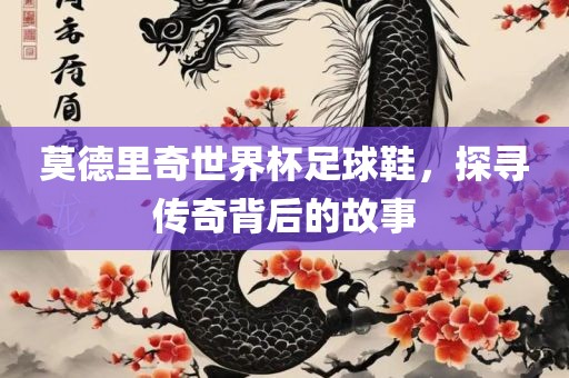莫德里奇世界杯足球鞋，探寻传奇背后的故事