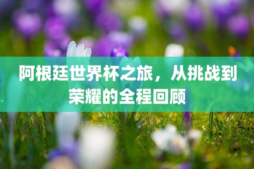 阿根廷世界杯之旅，从挑战到荣耀的全程回顾