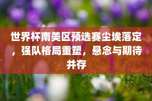 世界杯南美区预选赛尘埃落定，强队格局重塑，悬念与期待并存