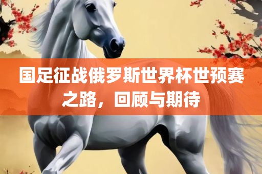 国足征战俄罗斯世界杯世预赛之路，回顾与期待