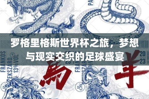罗格里格斯世界杯之旅，梦想与现实交织的足球盛宴
