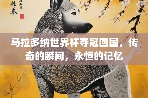 马拉多纳世界杯夺冠回国，传奇的瞬间，永恒的记忆