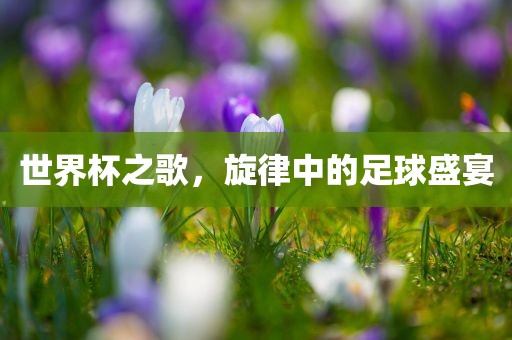 世界杯之歌，旋律中的足球盛宴