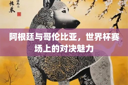 阿根廷与哥伦比亚，世界杯赛场上的对决魅力