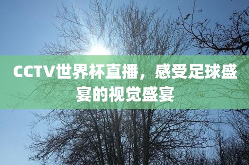 CCTV世界杯直播，感受足球盛宴的视觉盛宴