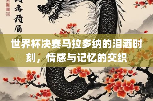 世界杯决赛马拉多纳的泪洒时刻，情感与记忆的交织