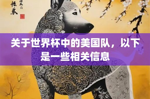 关于世界杯中的美国队，以下是一些相关信息