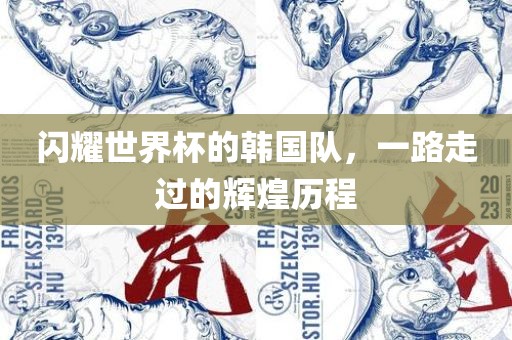 闪耀世界杯的韩国队，一路走过的辉煌历程