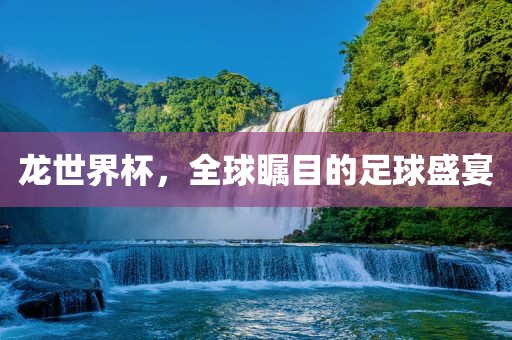 龙世界杯，全球瞩目的足球盛宴