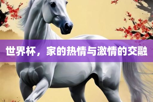 世界杯，家的热情与激情的交融