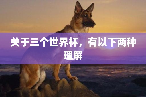关于三个世界杯，有以下两种理解