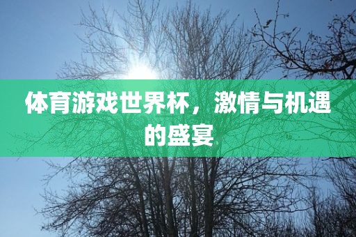 体育游戏世界杯，激情与机遇的盛宴