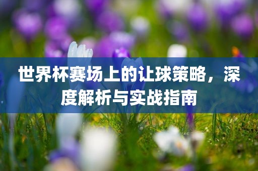 世界杯赛场上的让球策略，深度解析与实战指南