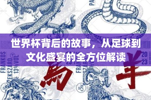 世界杯背后的故事，从足球到文化盛宴的全方位解读