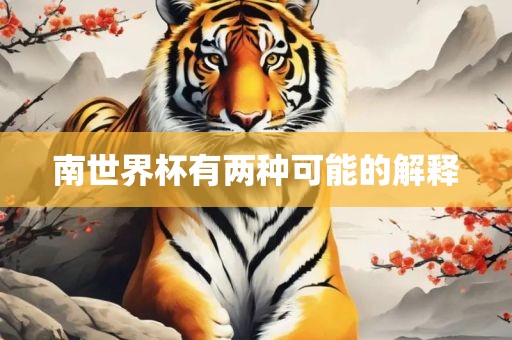 南世界杯有两种可能的解释