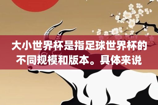大小世界杯是指足球世界杯的不同规模和版本。具体来说