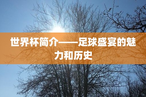 世界杯简介——足球盛宴的魅力和历史