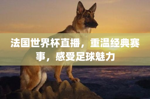法国世界杯直播，重温经典赛事，感受足球魅力