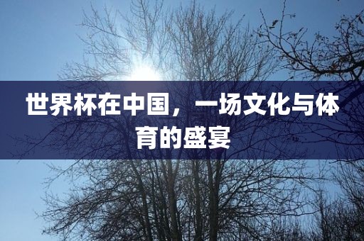 世界杯在中国，一场文化与体育的盛宴