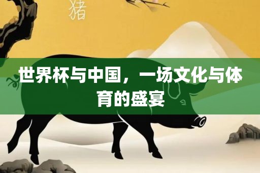 世界杯与中国，一场文化与体育的盛宴