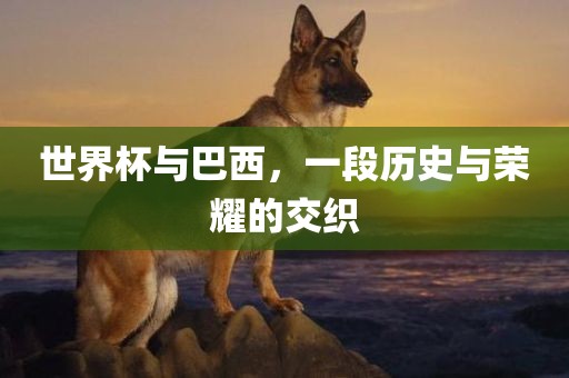 世界杯与巴西，一段历史与荣耀的交织