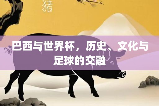 巴西与世界杯，历史、文化与足球的交融