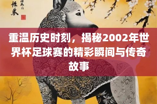 重温历史时刻，揭秘2002年世界杯足球赛的精彩瞬间与传奇故事