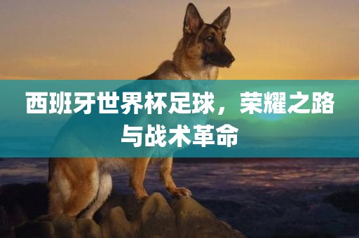 西班牙世界杯足球，荣耀之路与战术革命