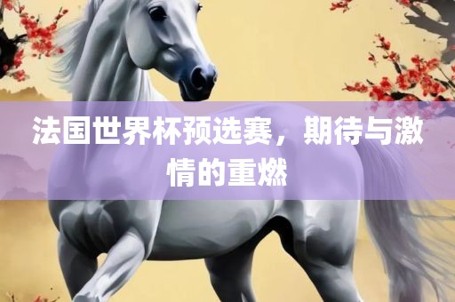 法国世界杯预选赛，期待与激情的重燃
