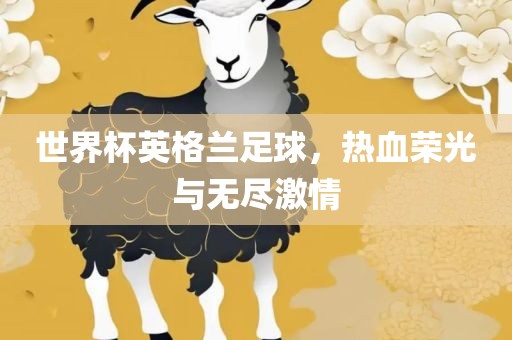 世界杯英格兰足球，热血荣光与无尽激情