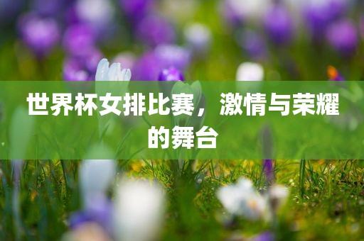 世界杯女排比赛，激情与荣耀的舞台