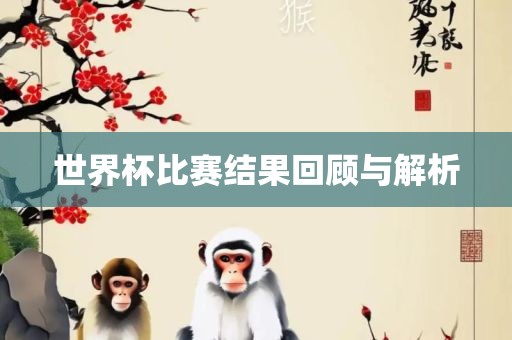 世界杯比赛结果回顾与解析