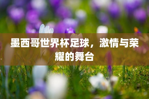 墨西哥世界杯足球，激情与荣耀的舞台