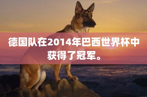 德国队在2014年巴西世界杯中获得了冠军。