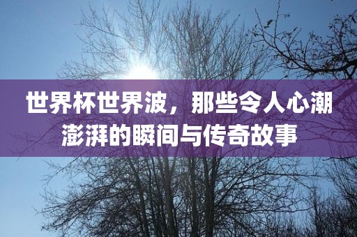 世界杯世界波，那些令人心潮澎湃的瞬间与传奇故事