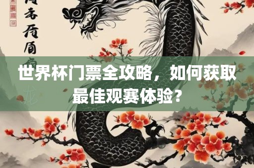 世界杯门票全攻略，如何获取最佳观赛体验？