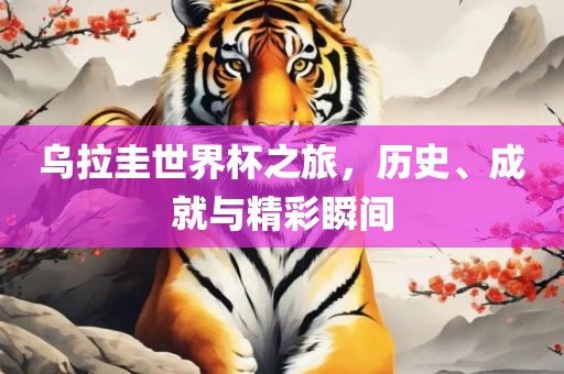乌拉圭世界杯之旅，历史、成就与精彩瞬间