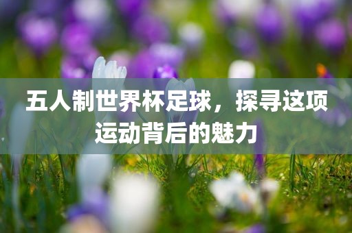 五人制世界杯足球，探寻这项运动背后的魅力