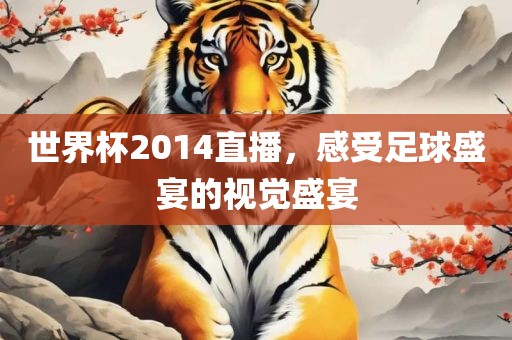 世界杯2014直播，感受足球盛宴的视觉盛宴