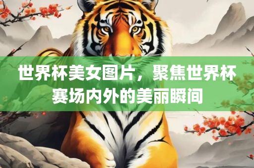 世界杯美女图片，聚焦世界杯赛场内外的美丽瞬间