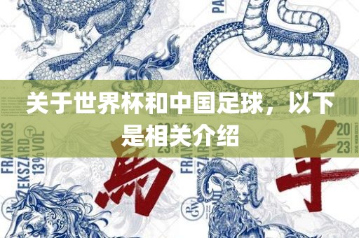 关于世界杯和中国足球，以下是相关介绍