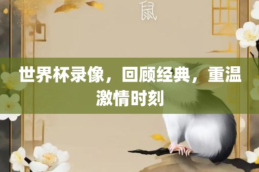 wushuxia 第8页