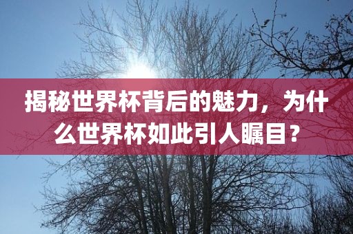 揭秘世界杯背后的魅力，为什么世界杯如此引人瞩目？