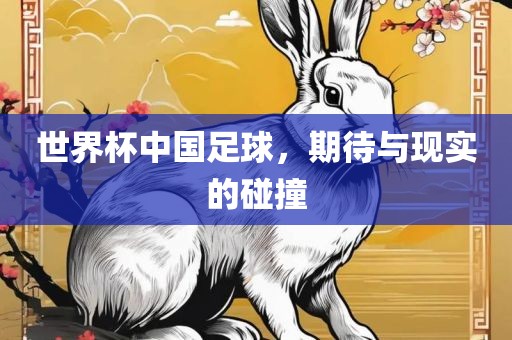 世界杯中国足球，期待与现实的碰撞