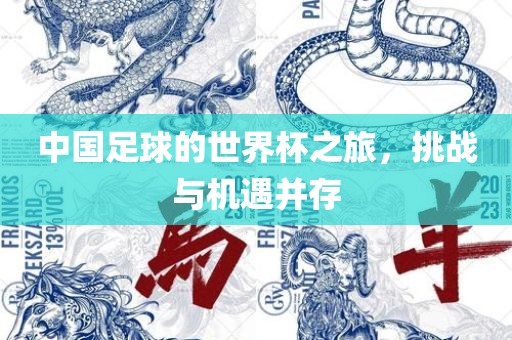 中国足球的世界杯之旅，挑战与机遇并存
