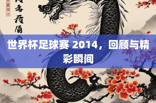 世界杯足球赛 2014，回顾与精彩瞬间